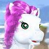    - My Flying Pony